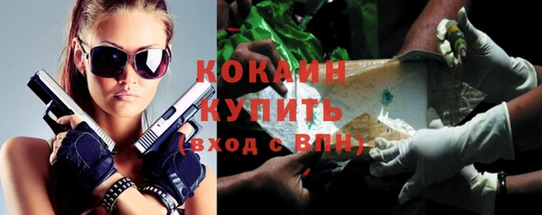 2c-b Богородицк