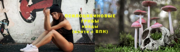 2c-b Богородицк