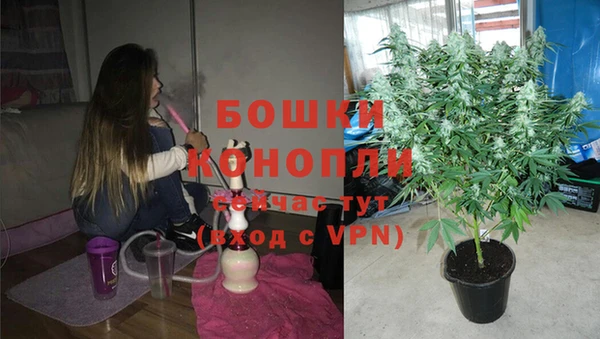 соль курить ск Богданович